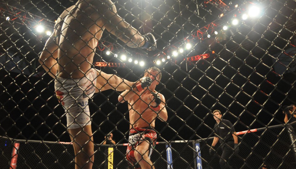 Bud Light Clinches Historic UFC Sponsorship Deal