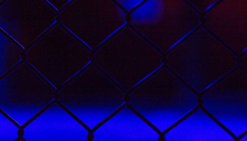 Emerging UFC Middleweight Contender: Caio Borralho's Victory Over Jared Cannonier